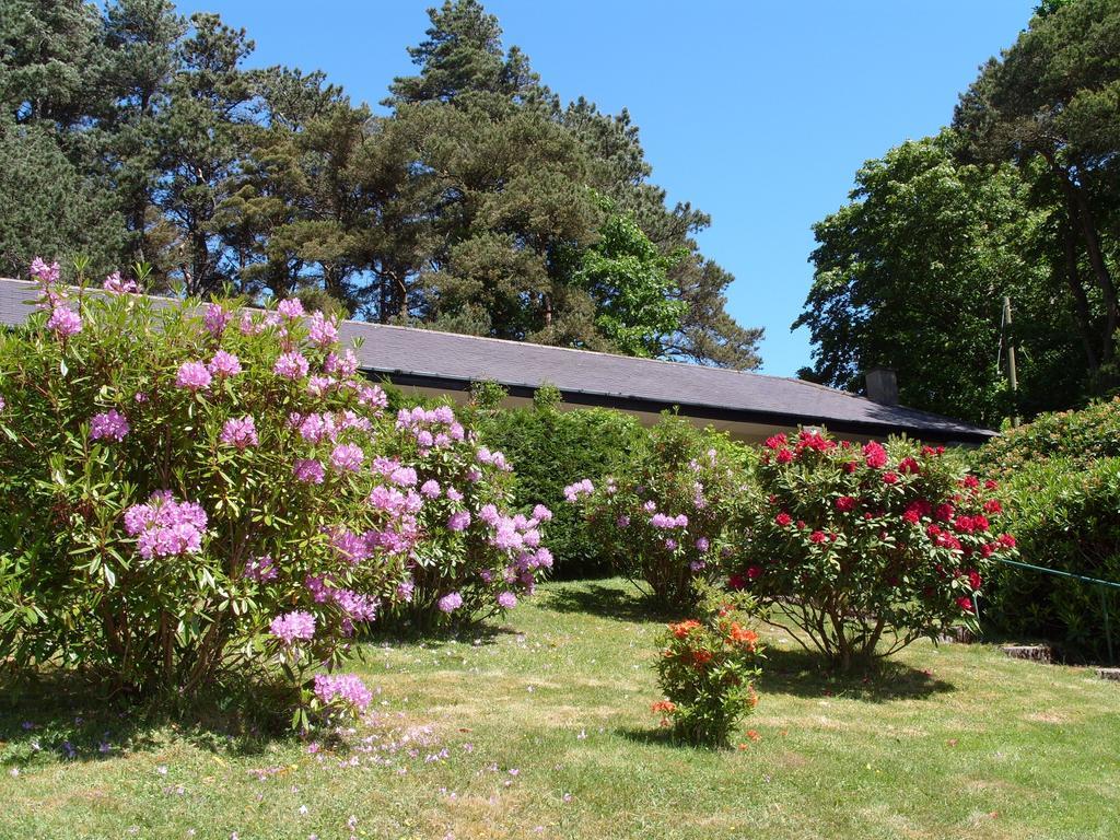 Plas Heulog Holiday Accommodation Llanfairfechan Kültér fotó